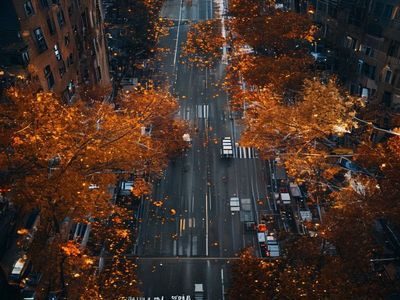 都市街头仰拍的秋色之空，霓虹灯光与落叶在同一画面中共存，现代感与自然美学碰撞出独特的城市秋色意境
